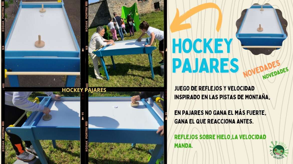 Hockey Pajares