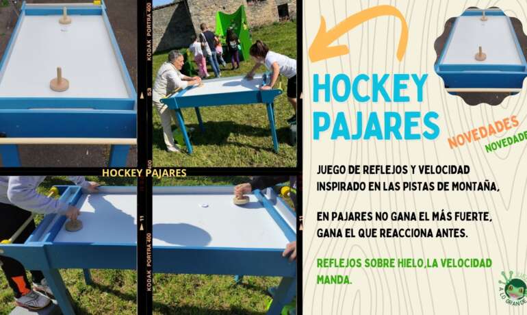Hockey Pajares